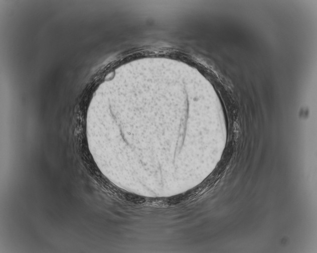 X0000094821447200712141634