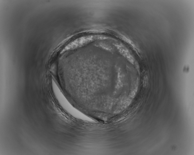 X0000094821448200712141634