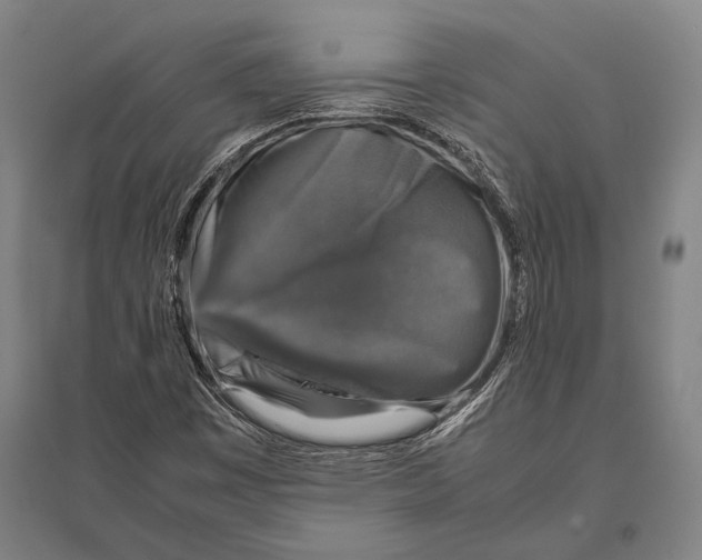 X0000094821449200712141634