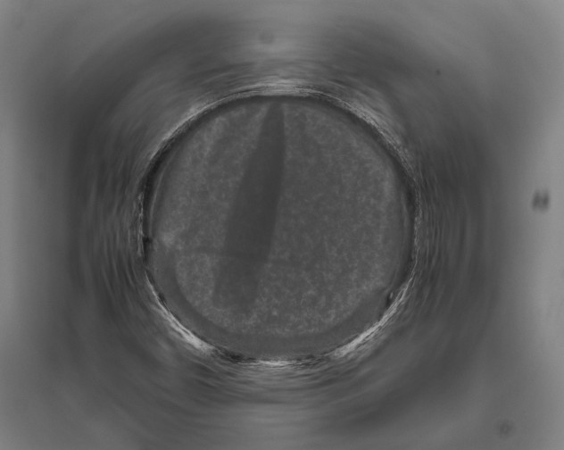 X0000094821450200712141634