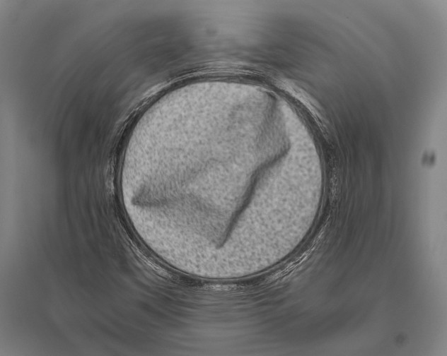 X0000094821451200712141634