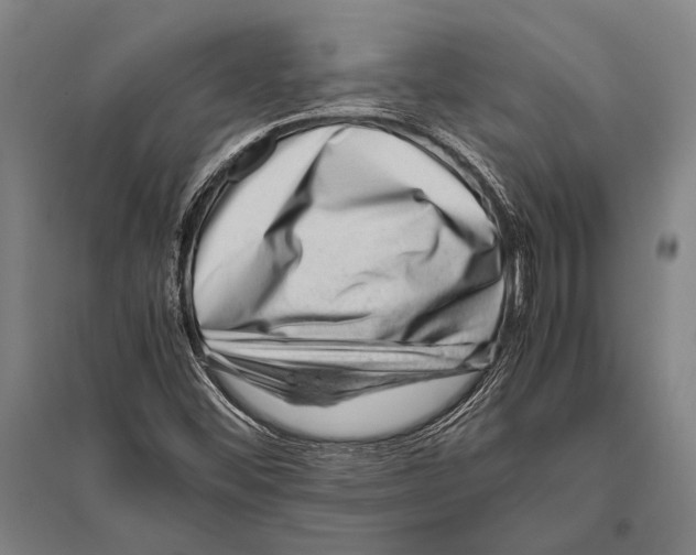 X0000094821452200712141634