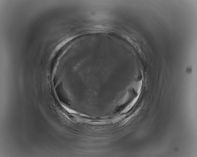 X0000094821453200712141634