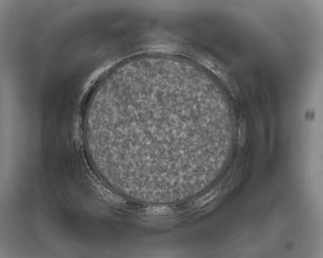 X0000094821454200712141634