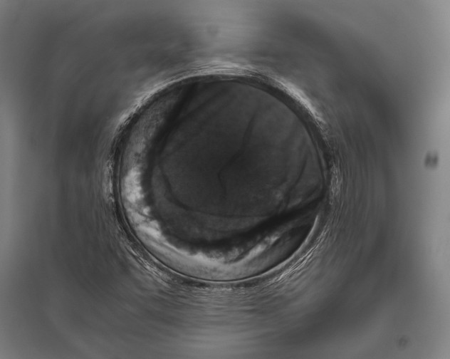 X0000094821455200712141634