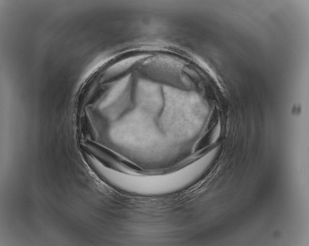 X0000094821456200712141634