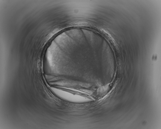 X0000094821457200712141634