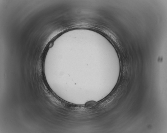 X0000094821458200712141634