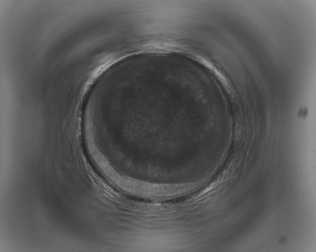 X0000094821459200712141634