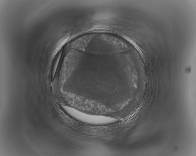 X0000094821461200712141634