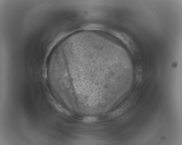 X0000094821462200712141634