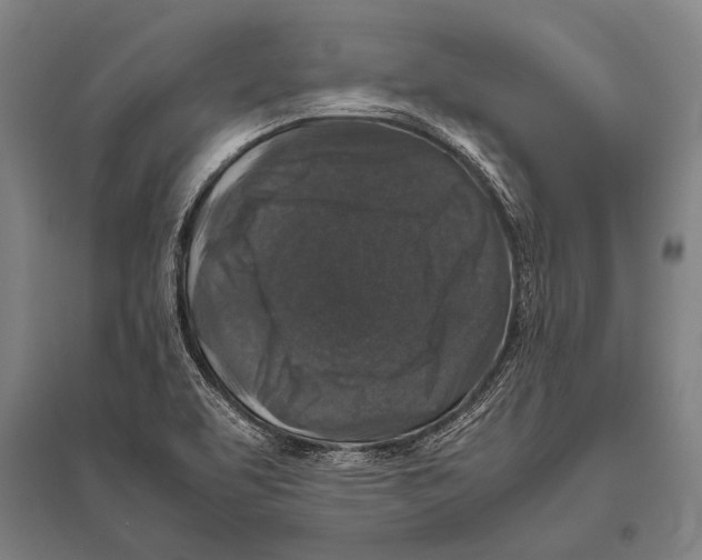 X0000094821463200712141634