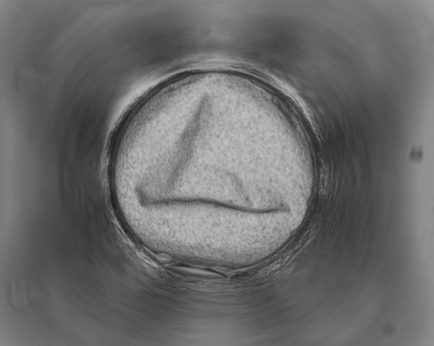 X0000094821464200712141634