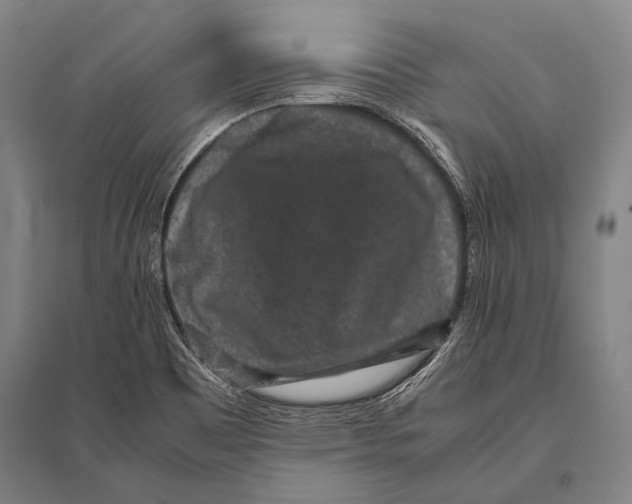 X0000094821465200712141634