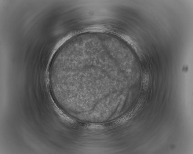 X0000094821466200712141634