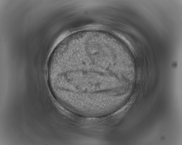 X0000094821467200712141634