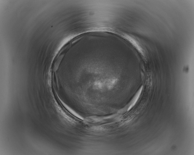 X0000094821468200712141634