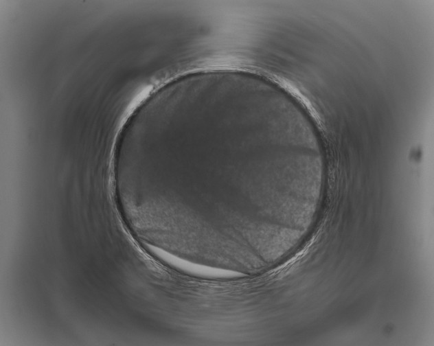 X0000094821469200712141634