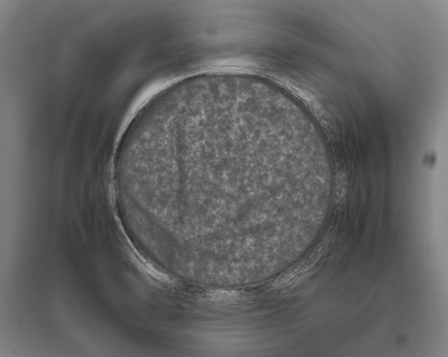 X0000094821470200712141634