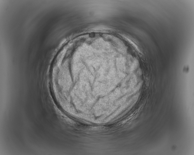 X0000094821471200712141634