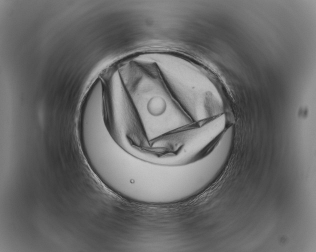 X0000094821472200712141634