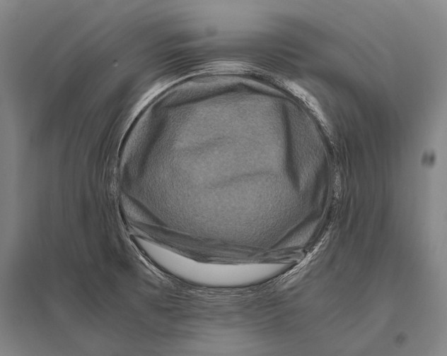 X0000094821473200712141634