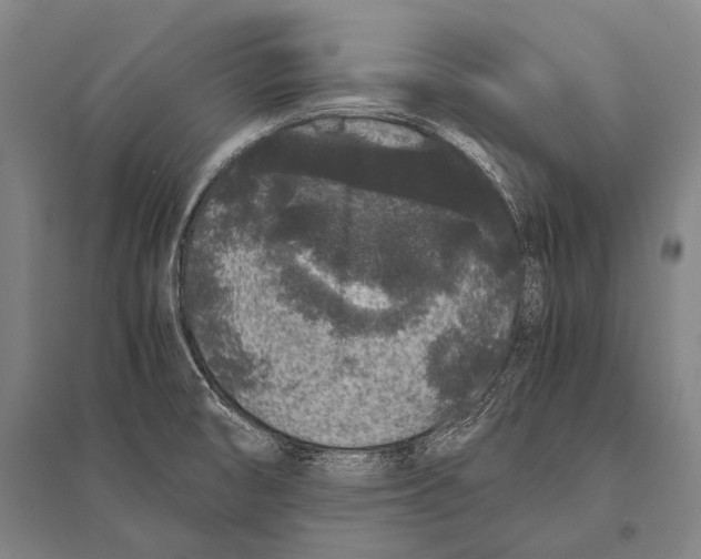 X0000094821474200712141634