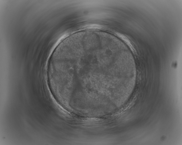 X0000094821475200712141634