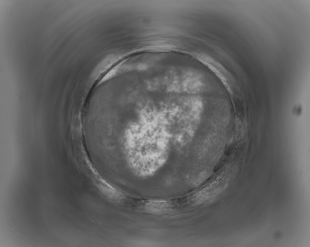 X0000094821477200712141634