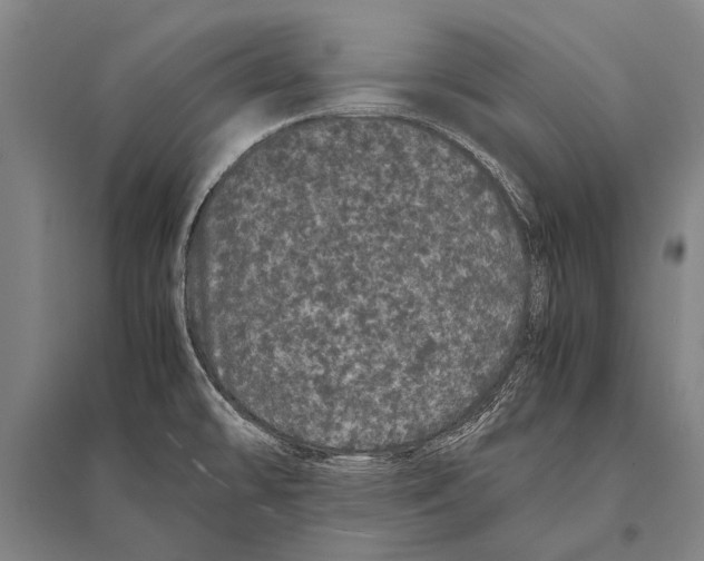 X0000094821478200712141634