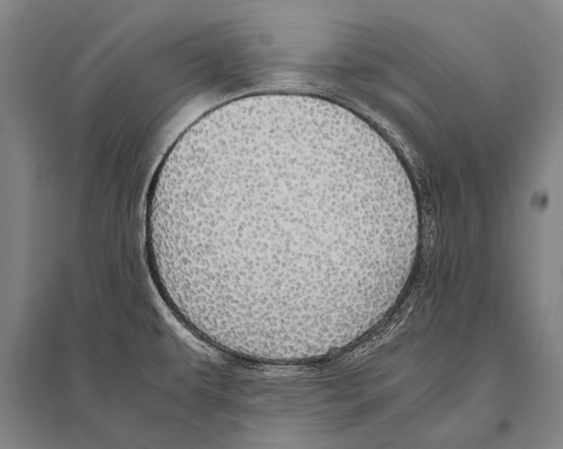 X0000094821479200712141634