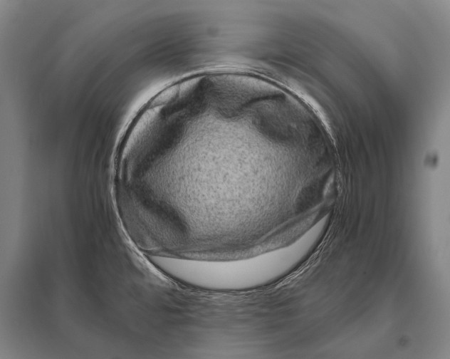 X0000094821480200712141634