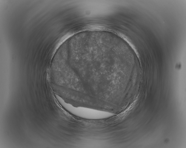 X0000094821481200712141634