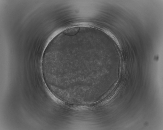 X0000094821482200712141634