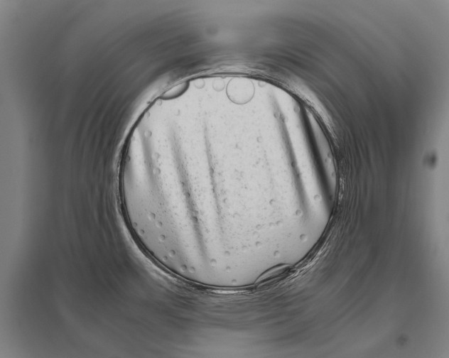 X0000094821483200712141634