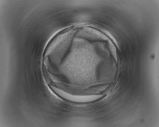 X0000094821484200712141634