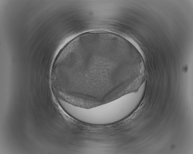 X0000094821485200712141634