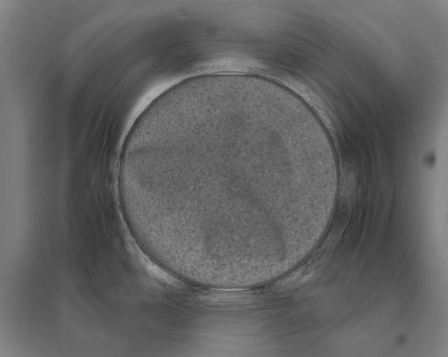 X0000094821486200712141634