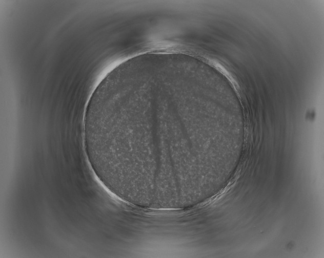 X0000094821487200712141634