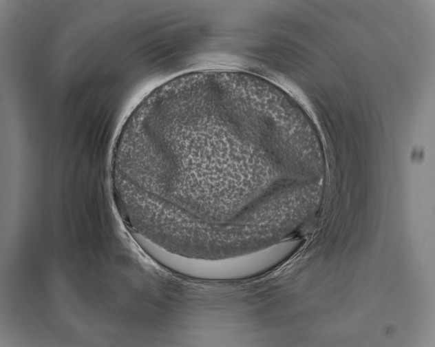 X0000094821488200712141634