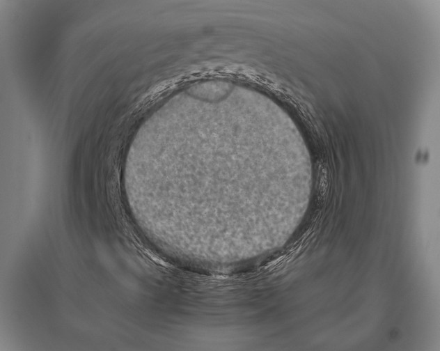 X0000094821489200712141633