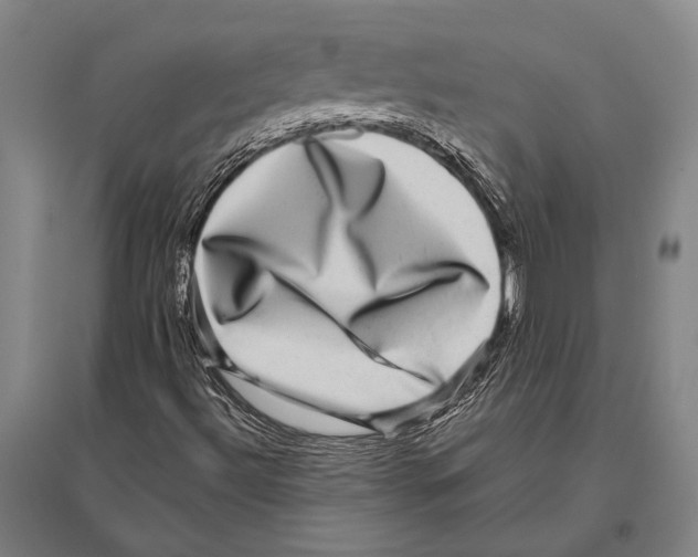 X0000094821492200712141633