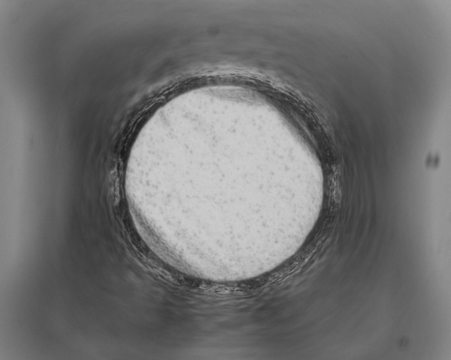 X0000094821493200712141633