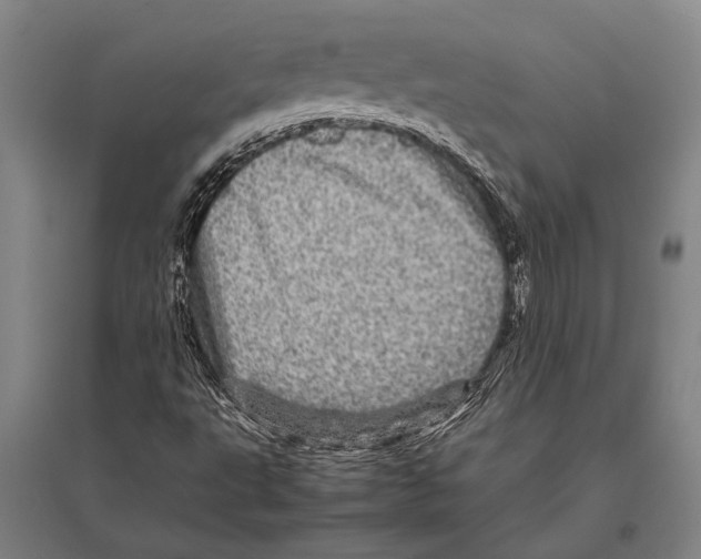 X0000094821495200712141633