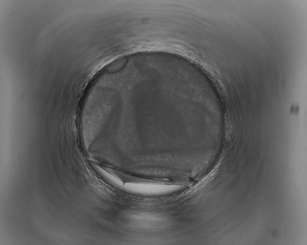 X0000094821497200712141633