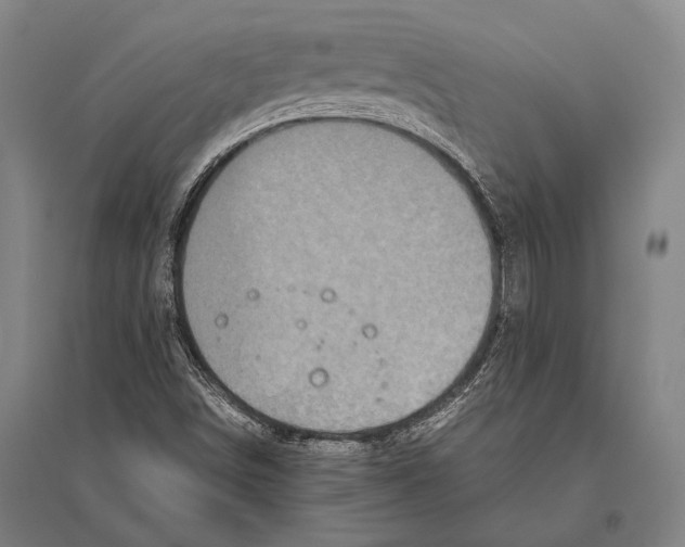 X0000094821498200712141633