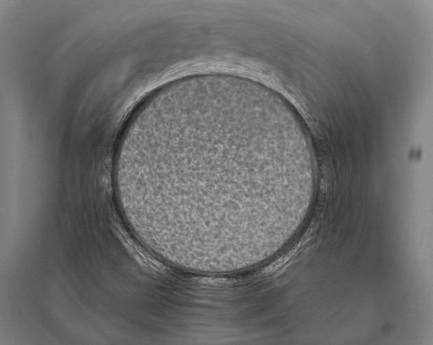 X0000094821499200712141633