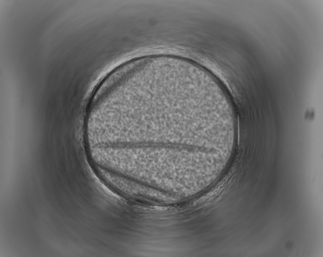 X0000094821500200712141633