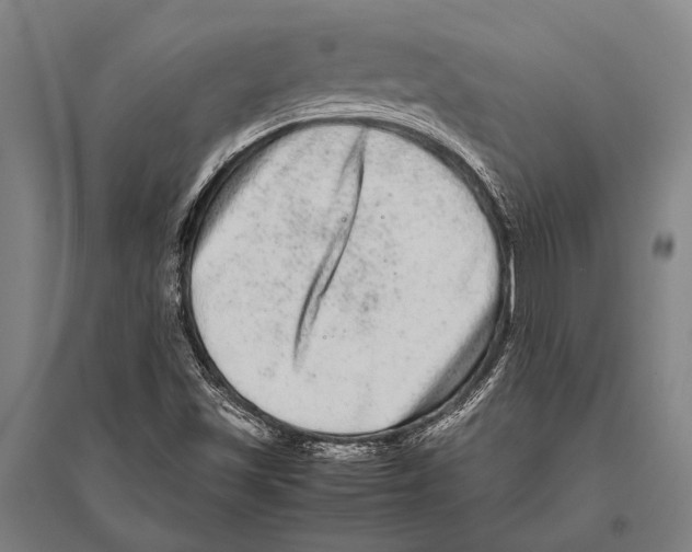 X0000094821501200712141633