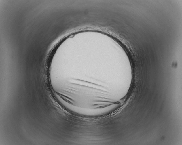 X0000094821502200712141633